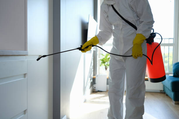 Best Office Mold Removal Services  in Hargill, TX