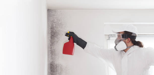 Water Damage Restoration in Hargill, TX